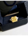 harry winston engagement ring canary travis scott diamond asap rocky